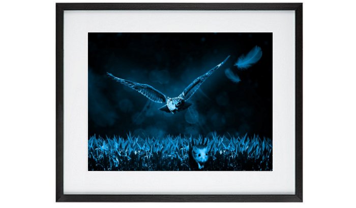 Predator Owl Framed Print